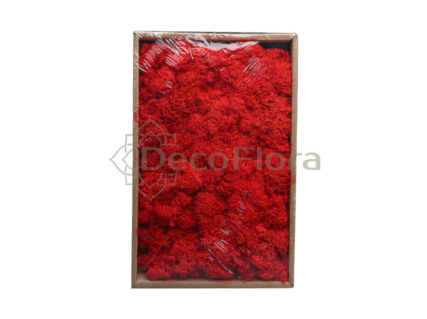 Мох сфагнум 250г красный