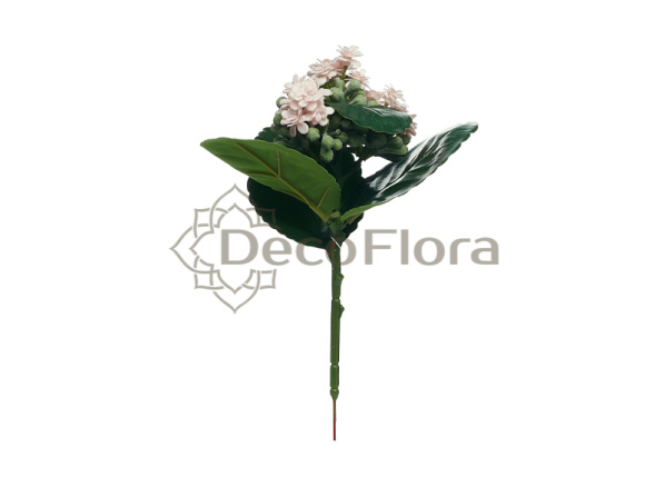 Каланхоэ 20см нежно-розовый