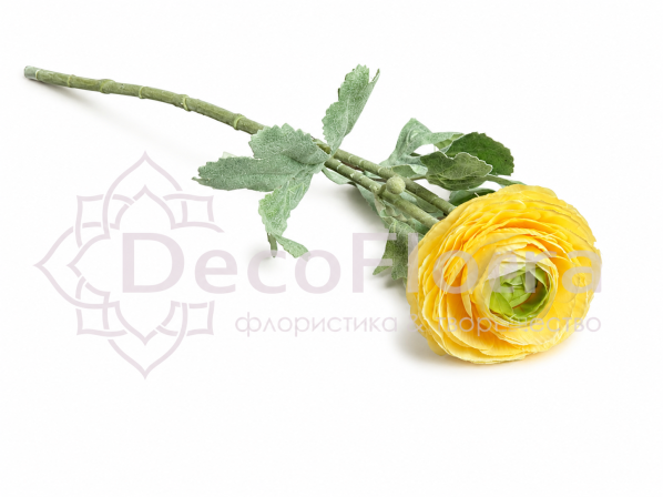 Ранункулюс 50см желтый