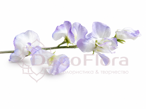 Чина душистая 64см светло-лавандовая